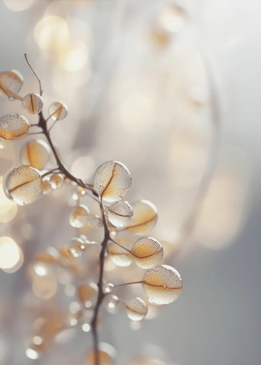 Dewy Petals Shine | Canvas