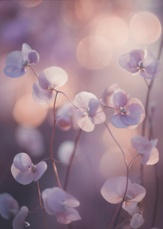 Ätherische Blüten | Poster