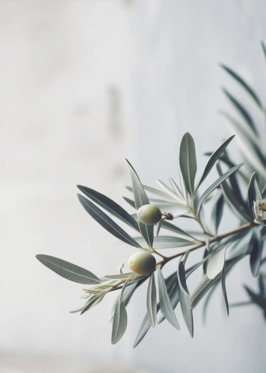 Olive Serenity | Leinwand
