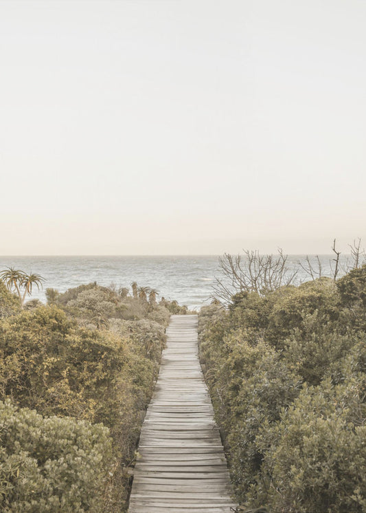 Pathway to Tranquility | Canvas