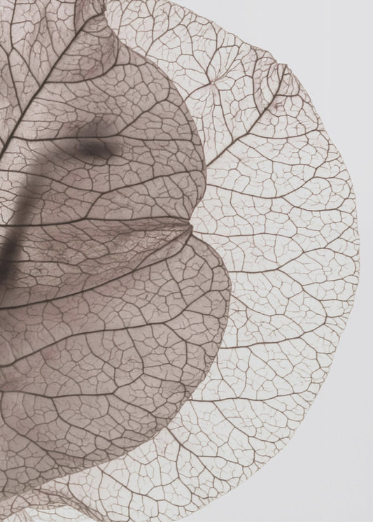 Veins of Nature | Canvas