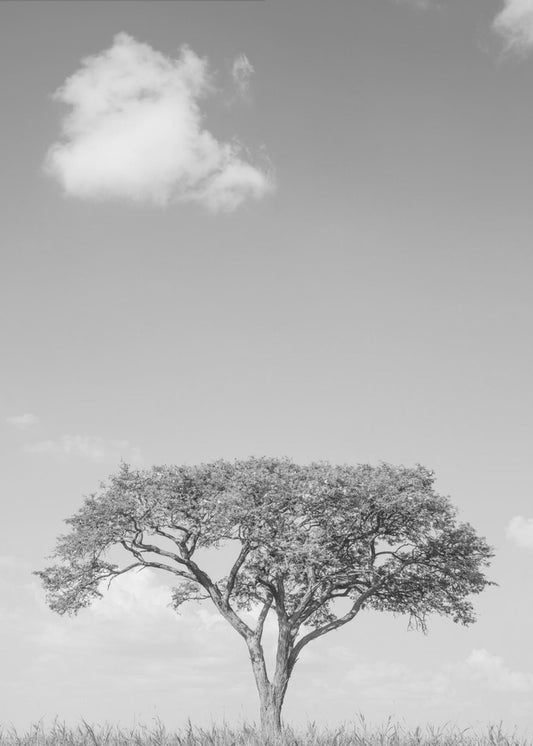 Einsamer Baumtraum | Poster