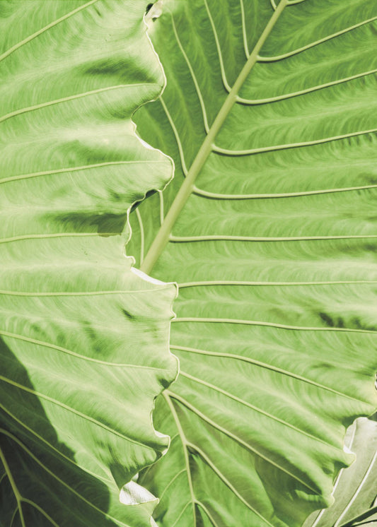 Verdant Waves | Canvas