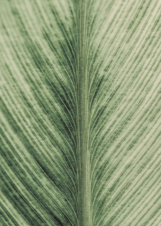 Grüne Adern | Poster