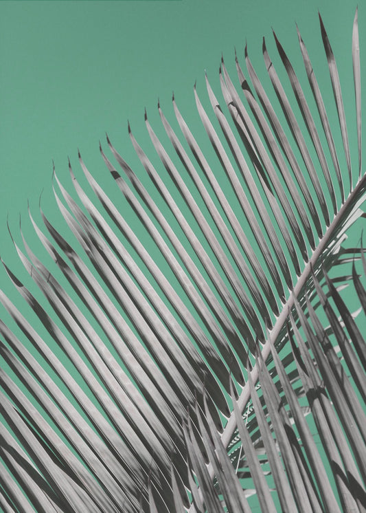 Palmenruhe | Poster