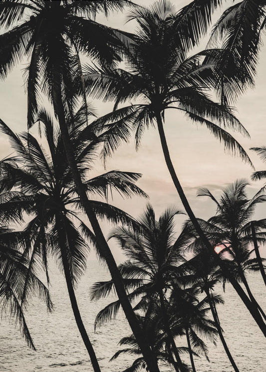 Tropical Twilight | Canvas