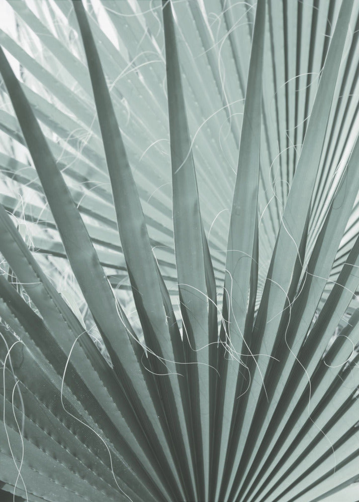 Wedelgeometrie | Poster