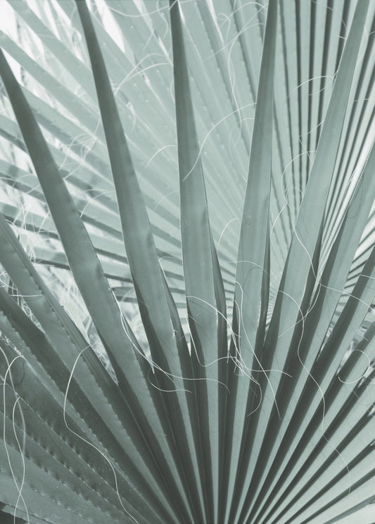 Wedelgeometrie | Poster