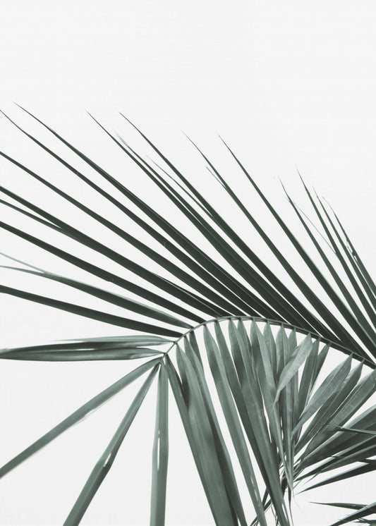 Tropische Eleganz | Poster