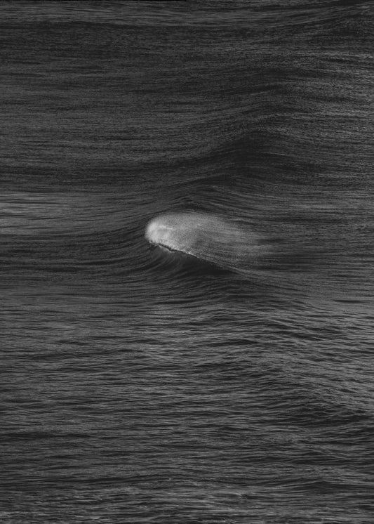 Whispering Waves | Canvas