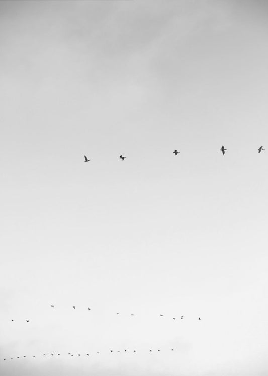 Skyward Flight | Canvas
