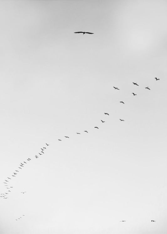 Skyward Journey | Canvas