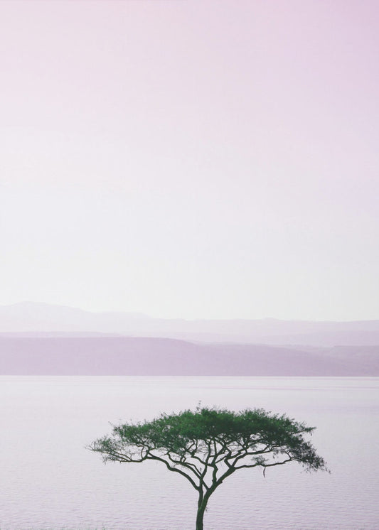 Baum an einem ruhigen See | Poster