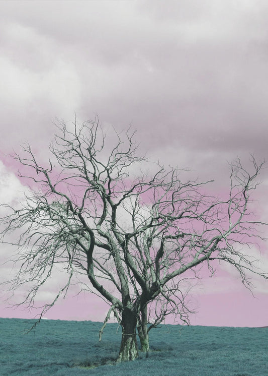 Unfruchtbarer Baum vor einem verträumten rosa Himmel | Leinwand