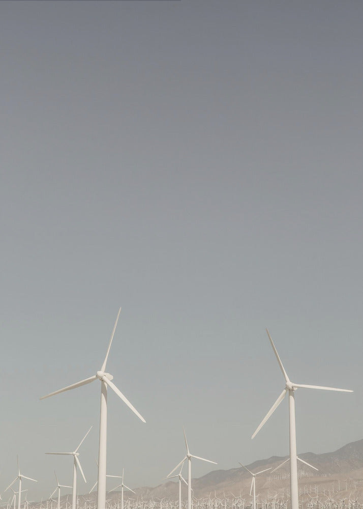 Windmühlensymphonie | Leinwand