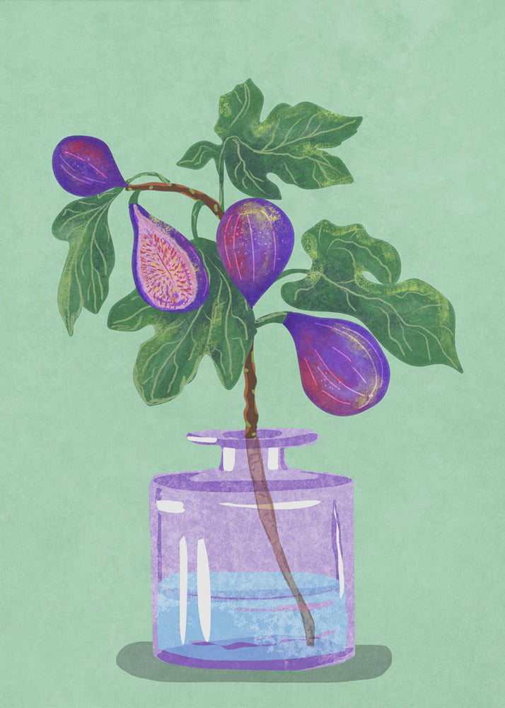 Feigenzweig in Vase | Poster