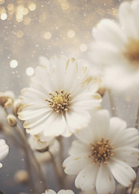 Petals in Starlight | Poster