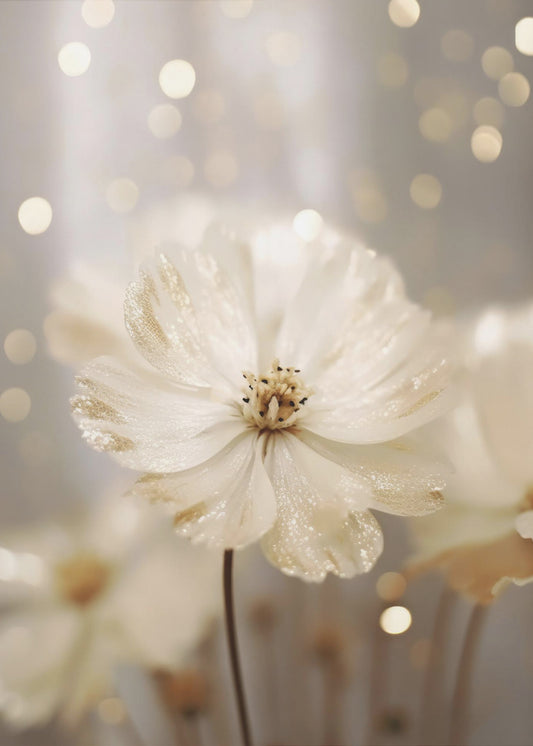 Glittering Petals | Canvas