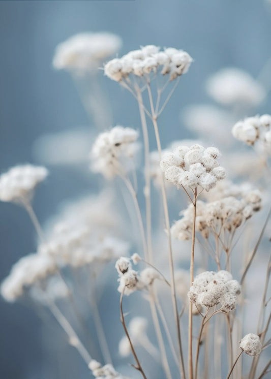 Delicate Whispers | Poster