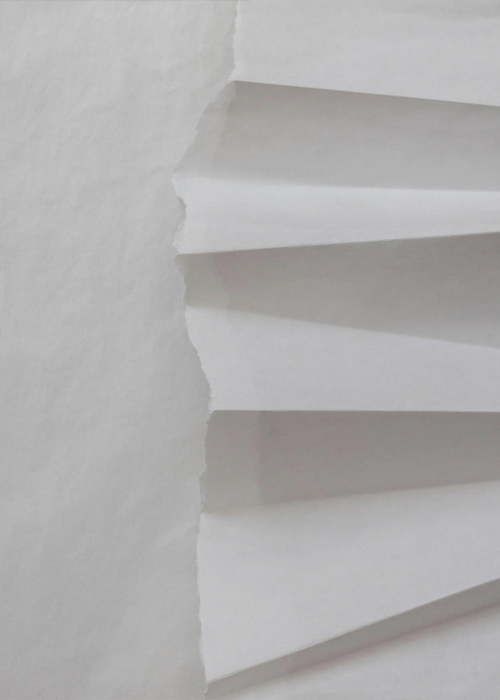 Paper Studies 12 | Canvas