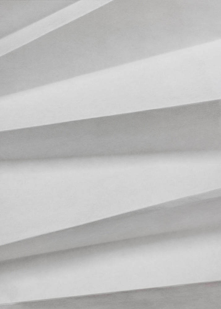 Paper Studies 11 | Canvas