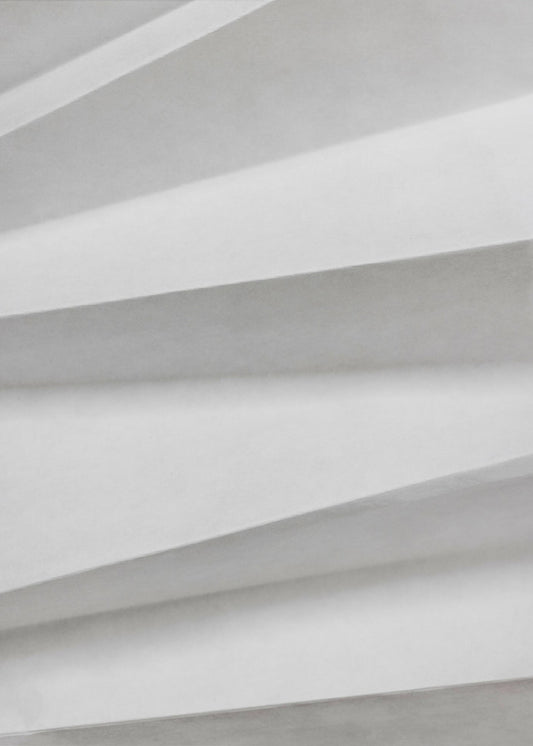 Paper Studies 11 | Canvas