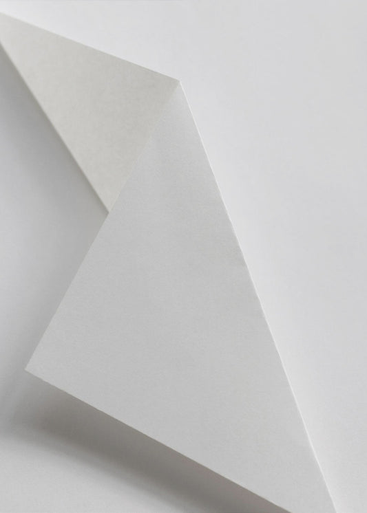 Paper Studies 16 | Canvas