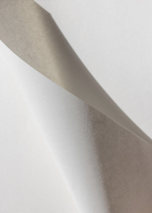 Paper Studies 15 | Canvas