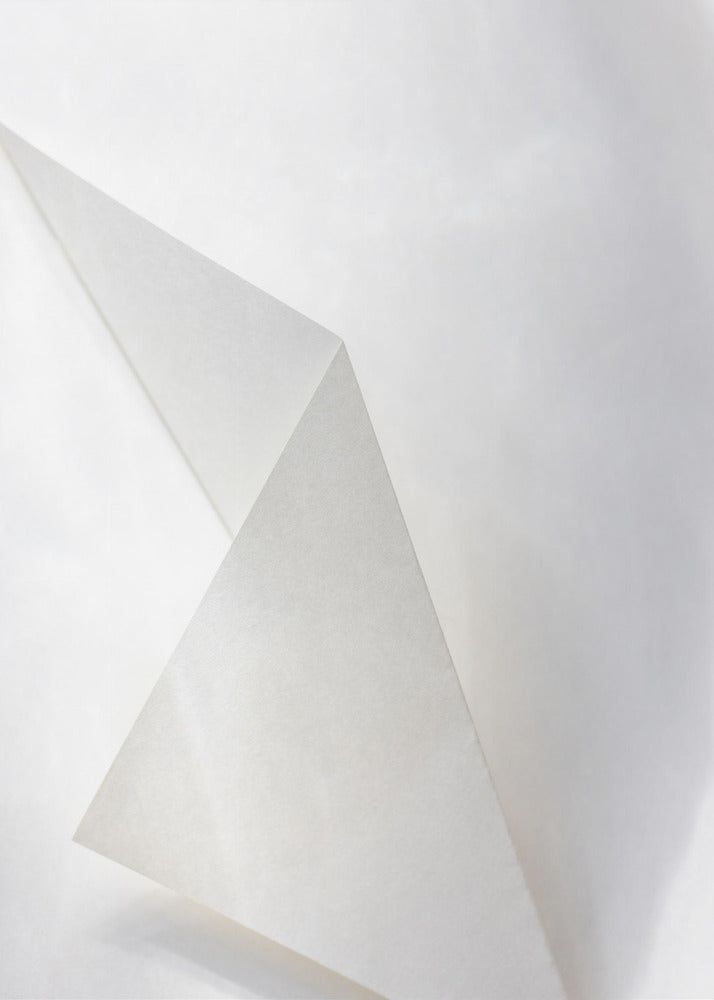 Papierstudien 18 | Leinwand
