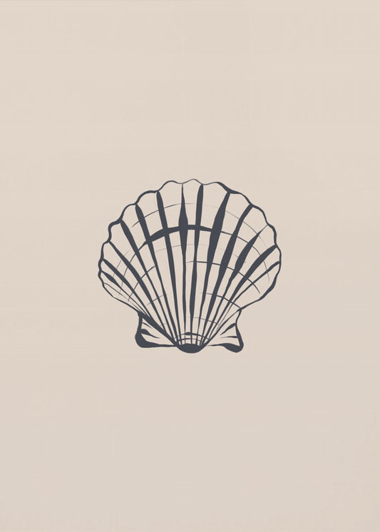 Muschel | Poster