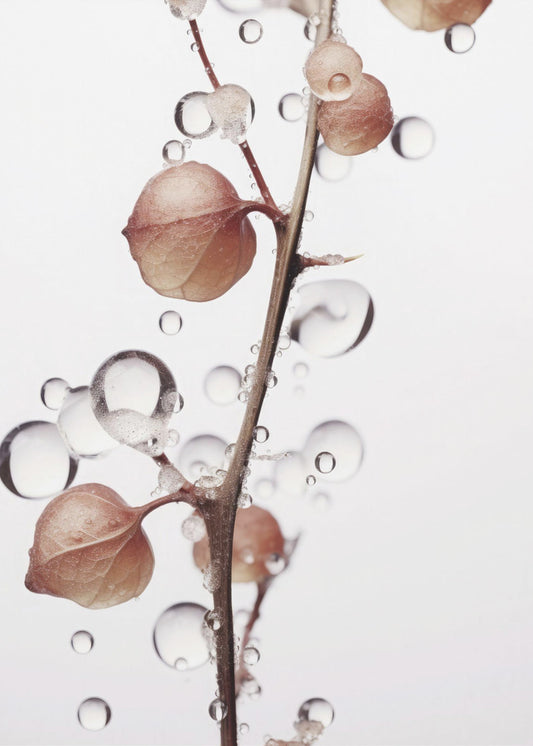 Blasen und Blüten | Poster