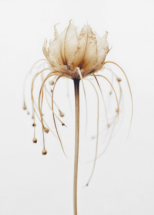 Ätherische Blüte | Poster