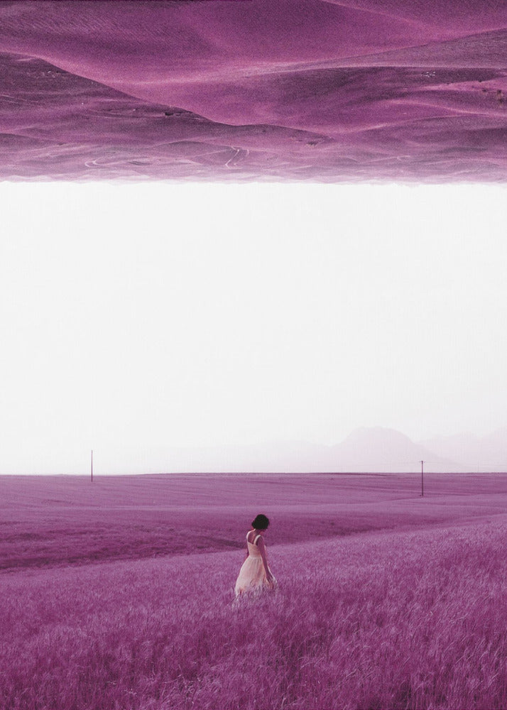 Lila Felder | Leinwand
