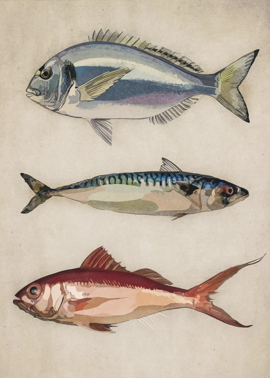 Trio des Meereslebens | Poster