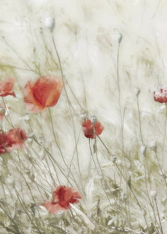 Maisrose | Poster