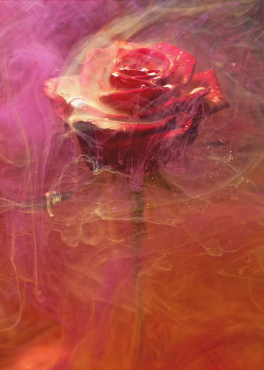 rote Rose und Tinte im Wasser | Leinwand