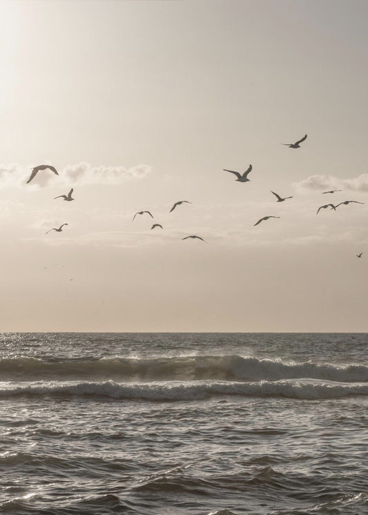 Vögel und das Meer 3 | Poster