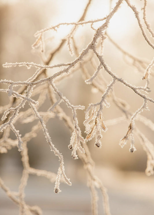 Frostiger Morgen 6 | Poster