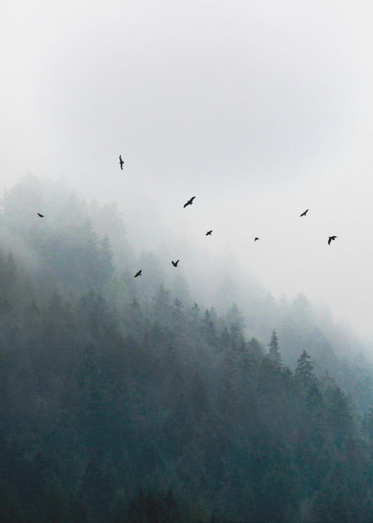 Nebliger Morgen 4 | Poster