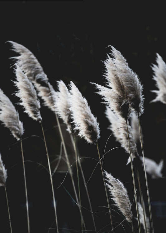 Grass 4 | Canvas