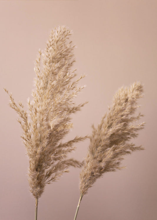 Gras 22 | Poster