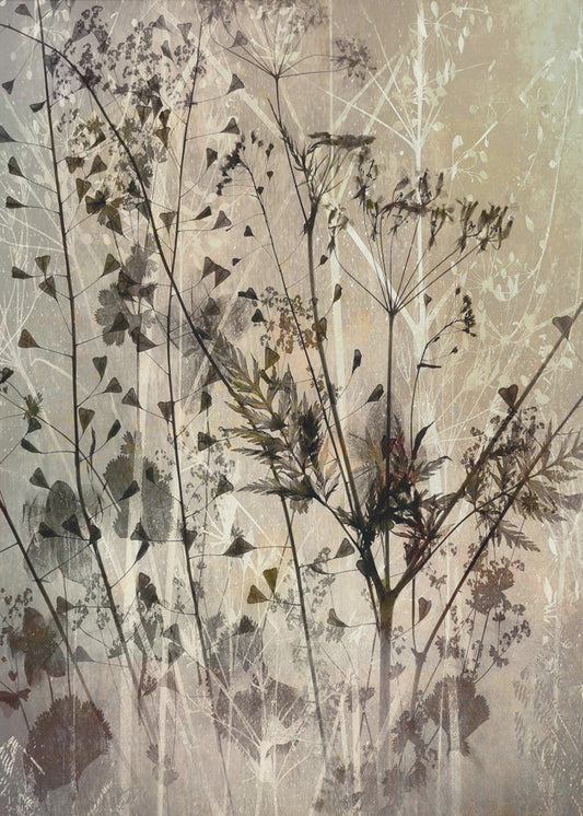 Field bouquet | Poster