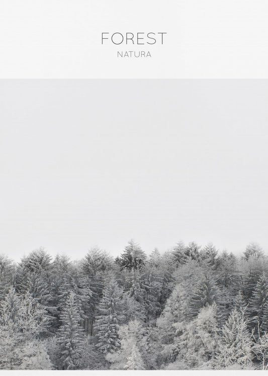 Frostige Ruhe | Poster