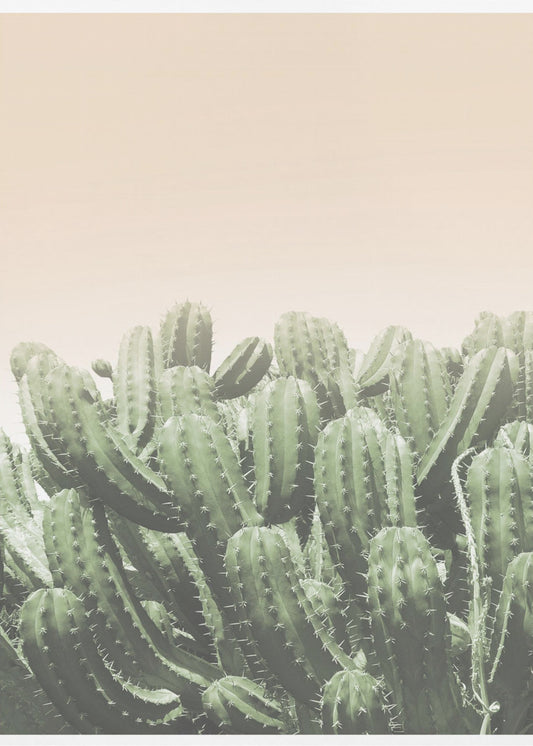Desert’s Embrace | Poster