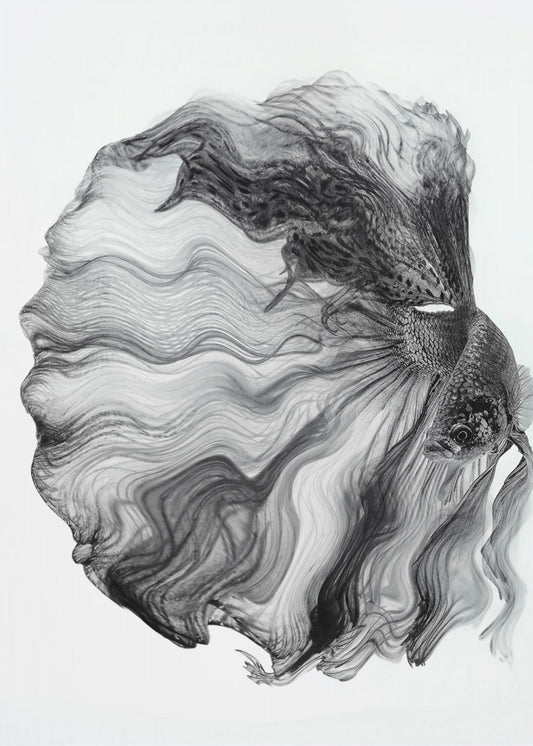 INK BETTA | Canvas
