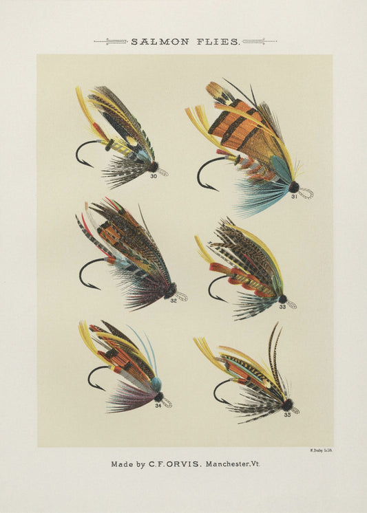 Salmon Fliee 1892 | Canvas