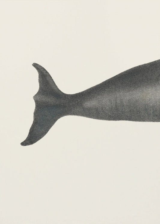 Whale Tight Crop I Handcolored Sealife Lithograph 1824 | Canvas