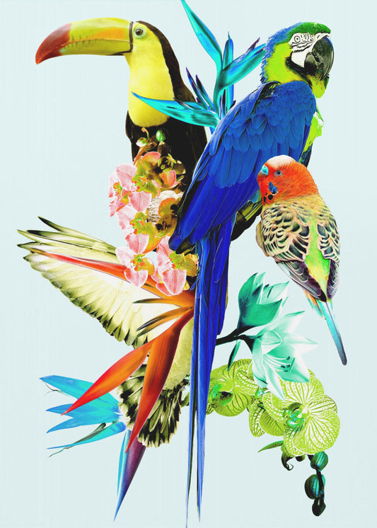 Paradiesvögel II | Poster