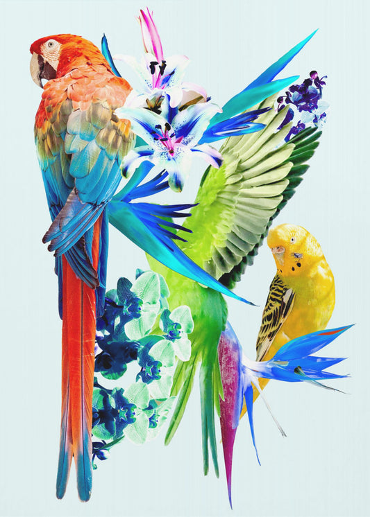 Paradiesvögel I | Poster