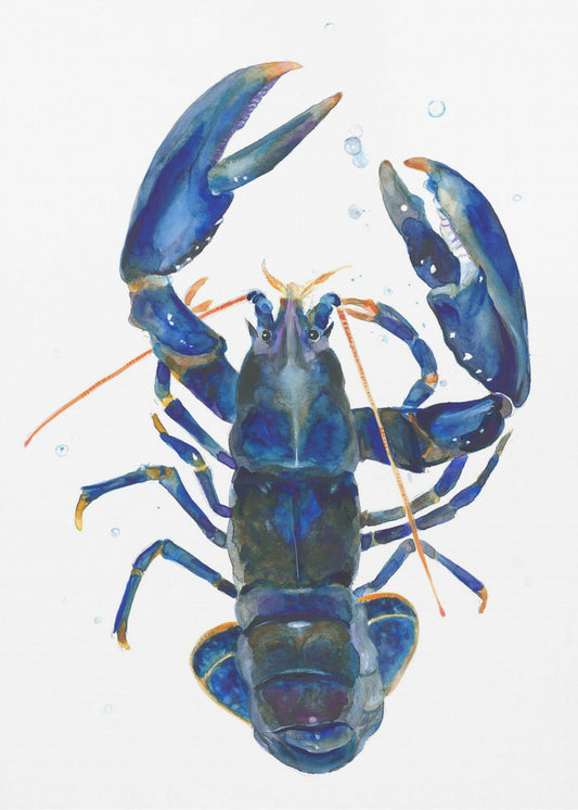 Ein blauer Hummer | Poster